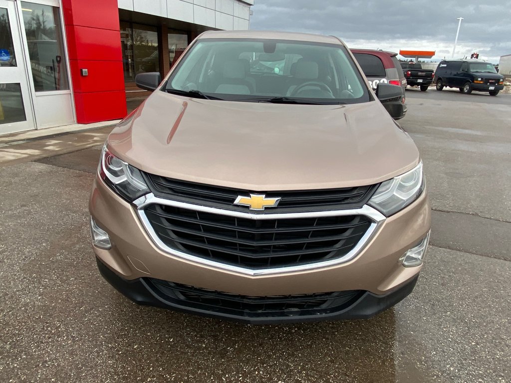 2019 Chevrolet Equinox in Deer Lake, Newfoundland and Labrador - 3 - w1024h768px