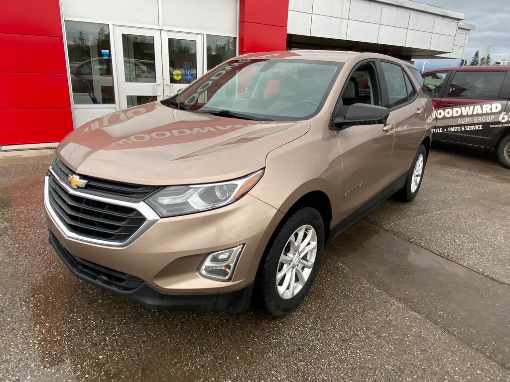 2019 Chevrolet Equinox in Deer Lake, Newfoundland and Labrador - 2 - w1024h768px
