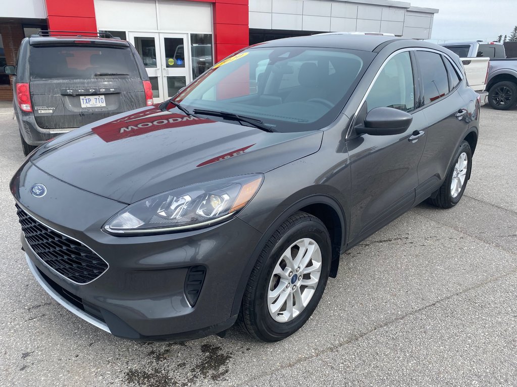 2020 Ford Escape in Deer Lake, Newfoundland and Labrador - 4 - w1024h768px