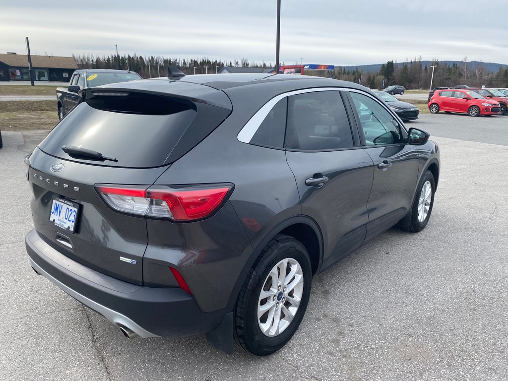 2020 Ford Escape in Deer Lake, Newfoundland and Labrador - 6 - w1024h768px