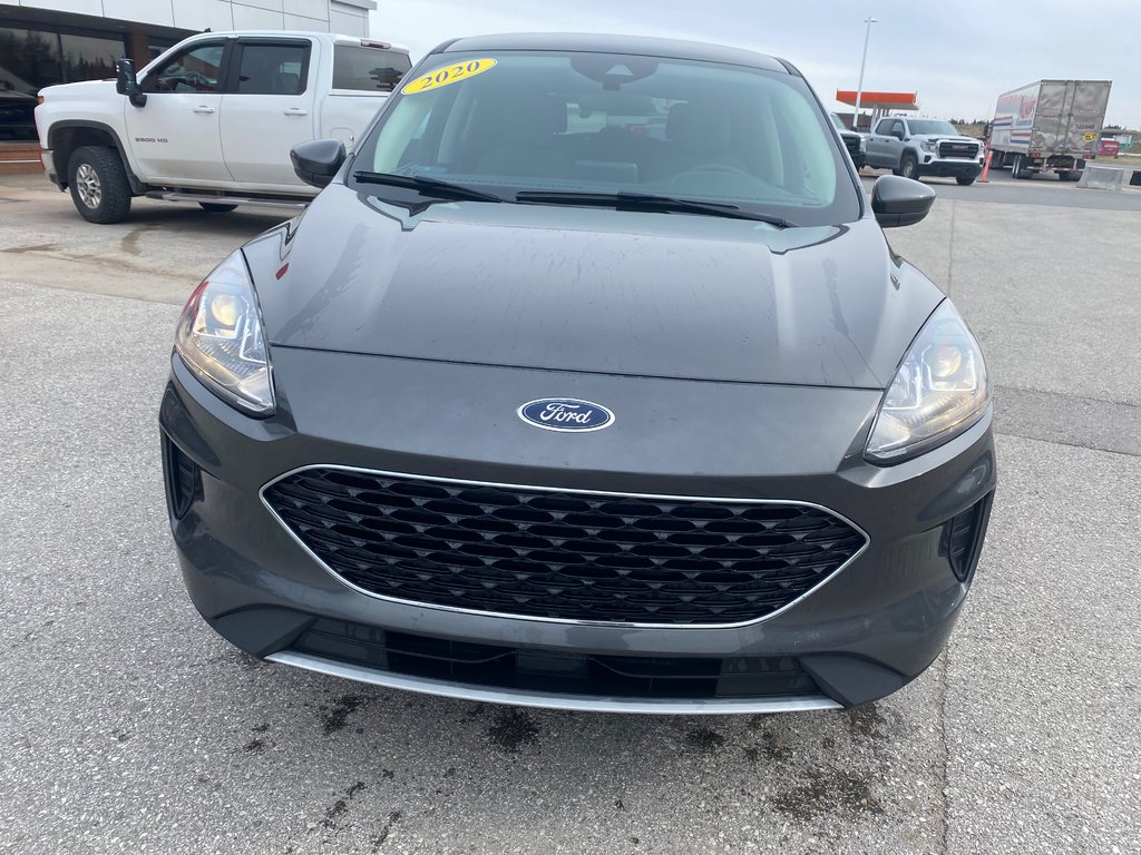 2020 Ford Escape in Deer Lake, Newfoundland and Labrador - 3 - w1024h768px