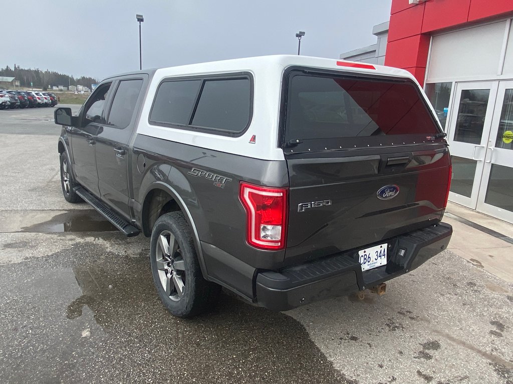 2016 Ford F150 in Deer Lake, Newfoundland and Labrador - 8 - w1024h768px