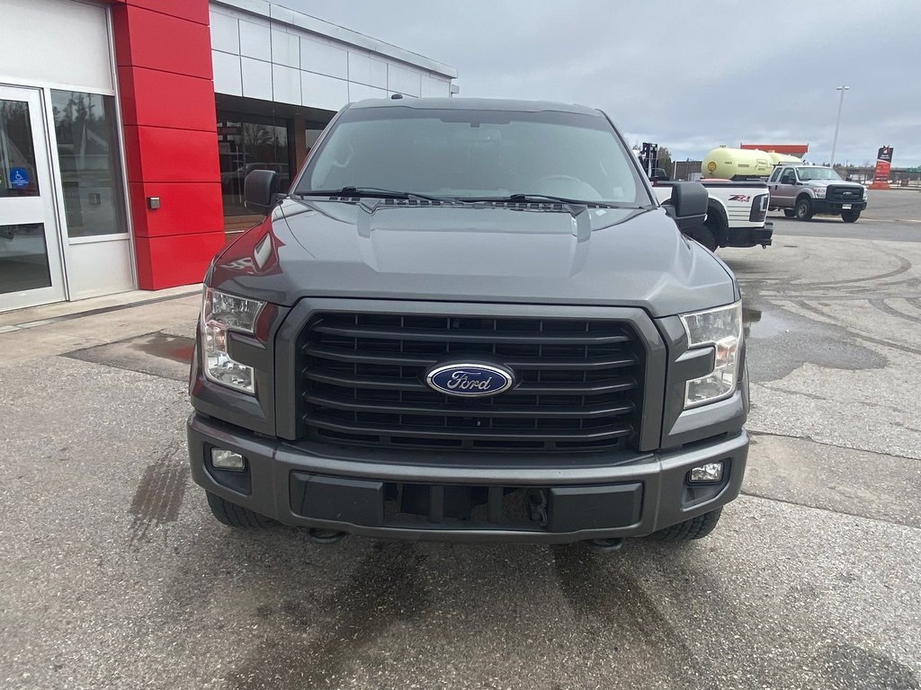 2016 Ford F150 in Deer Lake, Newfoundland and Labrador - 5 - w1024h768px