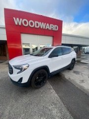 2021 GMC Terrain in Deer Lake, Newfoundland and Labrador - 1 - w1024h768px