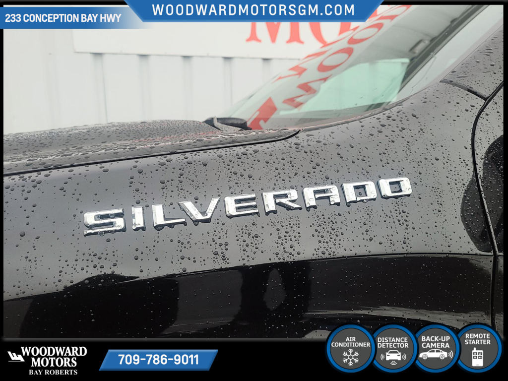 2024 Chevrolet Silverado 1500 in Deer Lake, Newfoundland and Labrador - 8 - w1024h768px