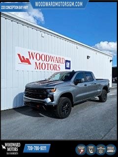 2025 Chevrolet Silverado 1500 in Deer Lake, Newfoundland and Labrador - 2 - w1024h768px