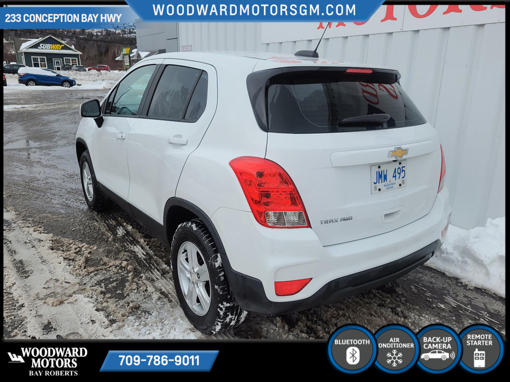 2017  Trax LS in Bay Roberts, Newfoundland and Labrador - 5 - w1024h768px