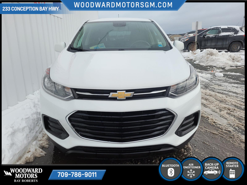 2017  Trax LS in Bay Roberts, Newfoundland and Labrador - 2 - w1024h768px