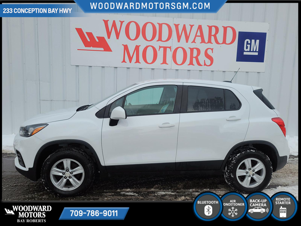2017  Trax LS in Bay Roberts, Newfoundland and Labrador - 1 - w1024h768px