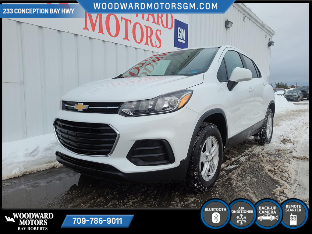 2017  Trax LS in Bay Roberts, Newfoundland and Labrador - 3 - w1024h768px