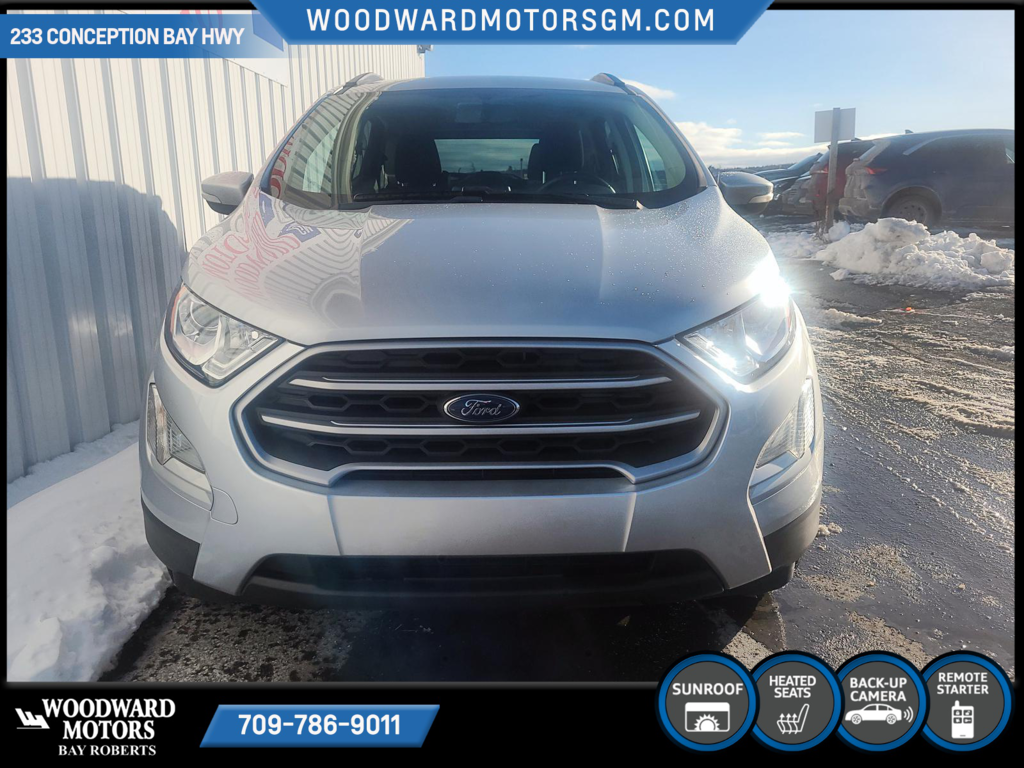 2020 Ford FORD in Deer Lake, Newfoundland and Labrador - 3 - w1024h768px