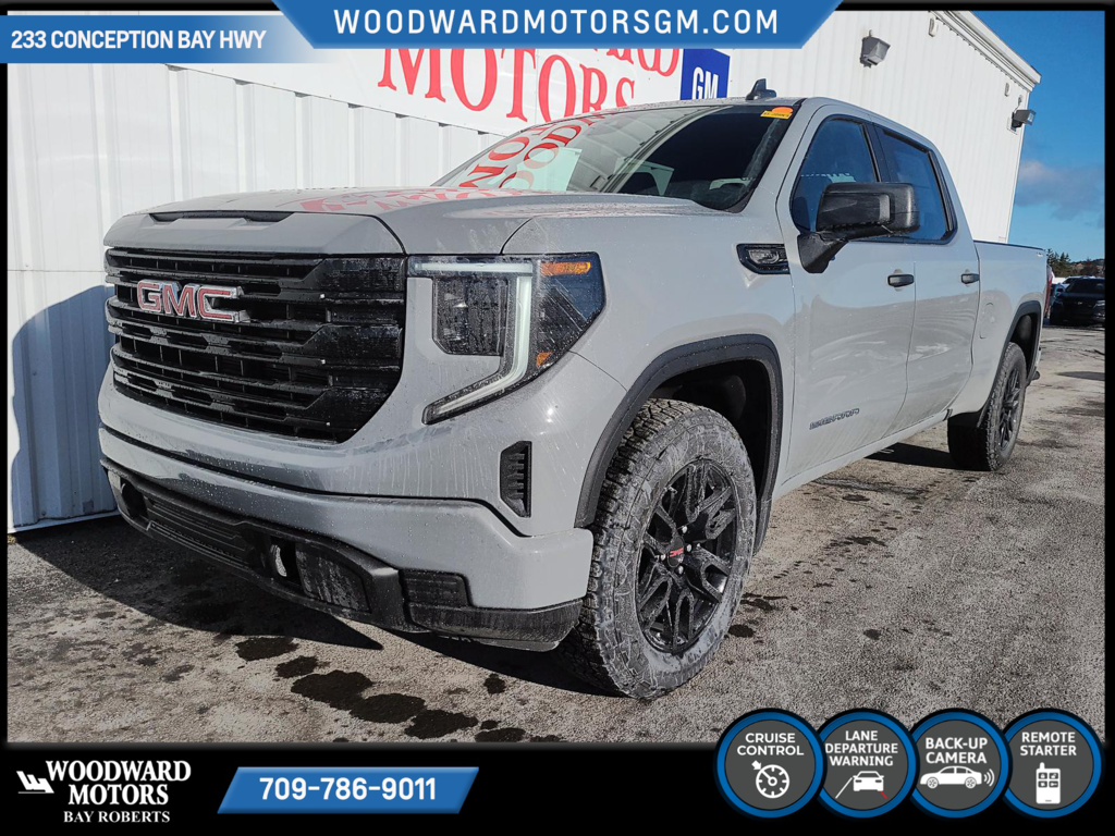 2024  Sierra 1500 PRO in Bay Roberts, Newfoundland and Labrador - 2 - w1024h768px