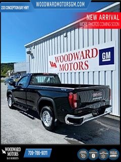 2024 GMC Sierra 1500 in Deer Lake, Newfoundland and Labrador - 11 - w1024h768px