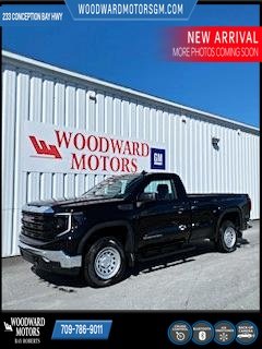 2024 GMC Sierra 1500 in Deer Lake, Newfoundland and Labrador - 13 - w1024h768px