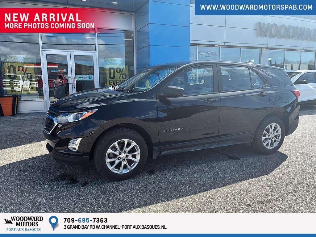 2020 Chevrolet Equinox LS AWD LS in Port Aux Basques, Newfoundland and Labrador - 2 - w1024h768px
