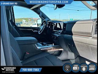 2024 Chevrolet SILVERADO 2500 HD in Deer Lake, Newfoundland and Labrador - 8 - w1024h768px