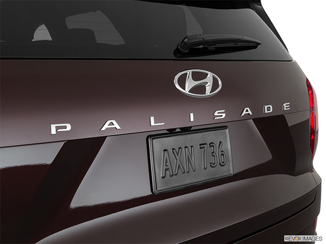 Hyundai Gallery | The 2021 PALISADE Ultimate Calligraphy ...
