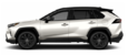LE