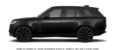 SV SWB Black