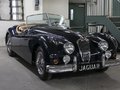 Jaguar Unlisted Item  1955