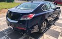2009 Acura TL SH-AWD - sunroof, power seats, a/c, xm radio