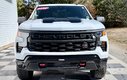 2024 Chevrolet Silverado 1500 Custom Trail Boss | Spacious + Rugged, Rear Camera