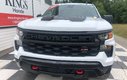 2024 Chevrolet Silverado K1500 Custom Trail Boss - Leather Seats, Reverse Camera