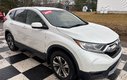 2019 Honda CR-V LX - reverse camera, lane assist, heated mirrors