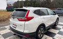 2019 Honda CR-V LX - reverse camera, lane assist, heated mirrors