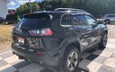 2019 Jeep Cherokee Trailhawk Elite - Sunroof, Reverse Camera,