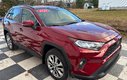 2020 Toyota RAV4 XLE - sunroof, heated seats, heated steering wheel