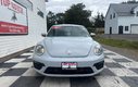 2017 Volkswagen BEETLE