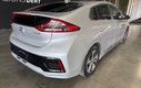 2019 Hyundai Ioniq Electric Preferred