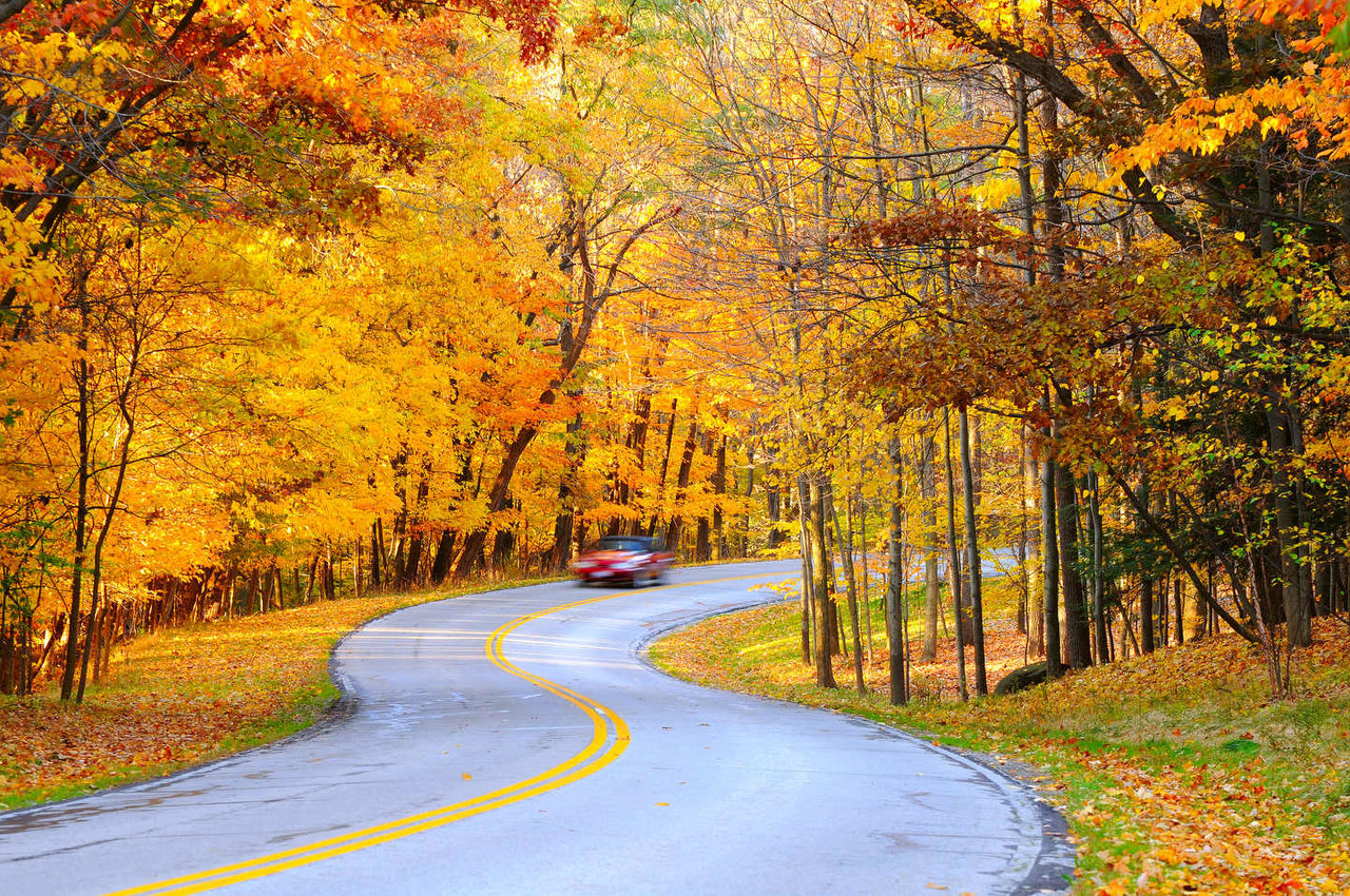 L'automne est le moment idéal pour vérifier les pneus de votre BMW