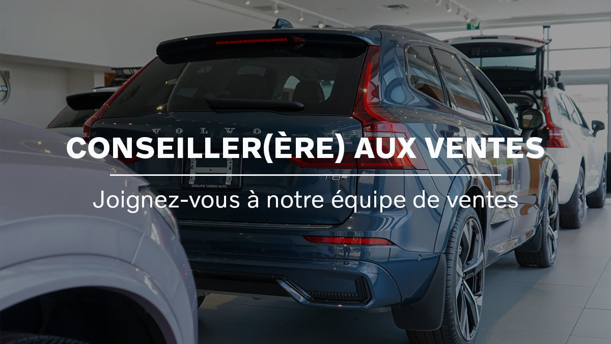 Sales Consultant
