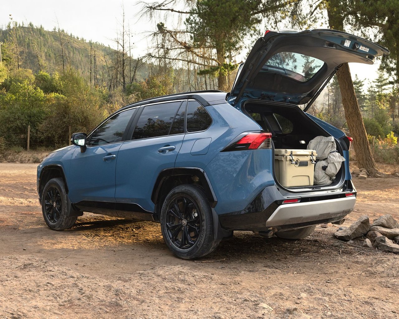 2024 Toyota RAV4