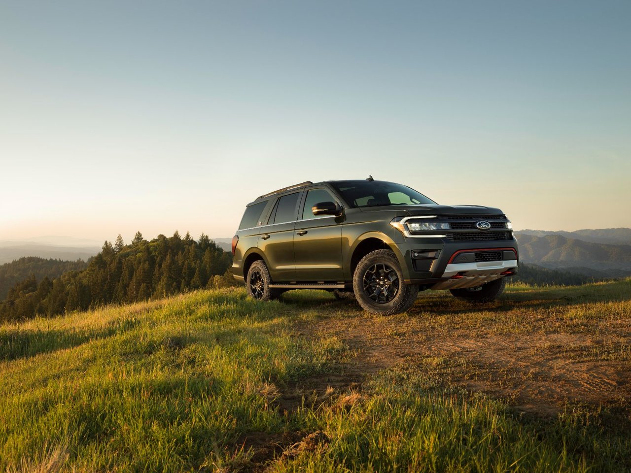 Timberline Forgedgreen