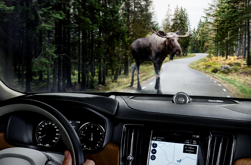 Summer Mountain Driving Tips