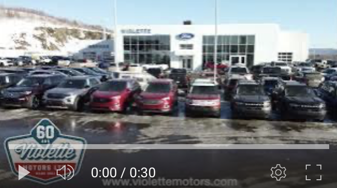 Violette Motors Ltd celebrats its 60years.