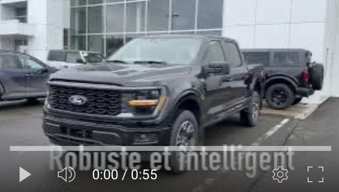 2024 F-150 STX