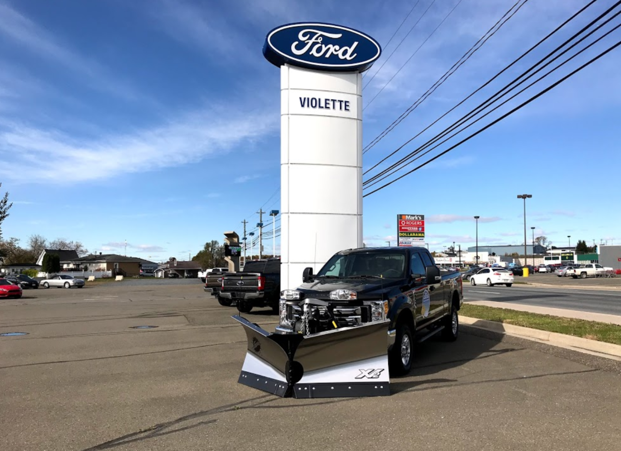 Histoire de Violette Ford Grand Falls