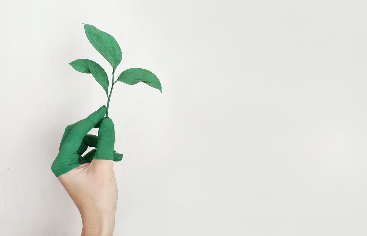 Système écologique de recyclage