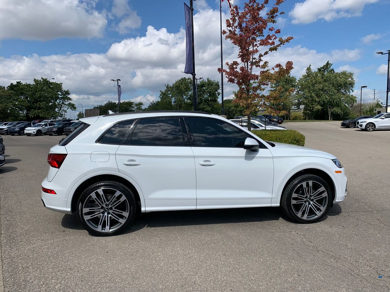Used 2020 Ibis White Audi Progressiv image 7