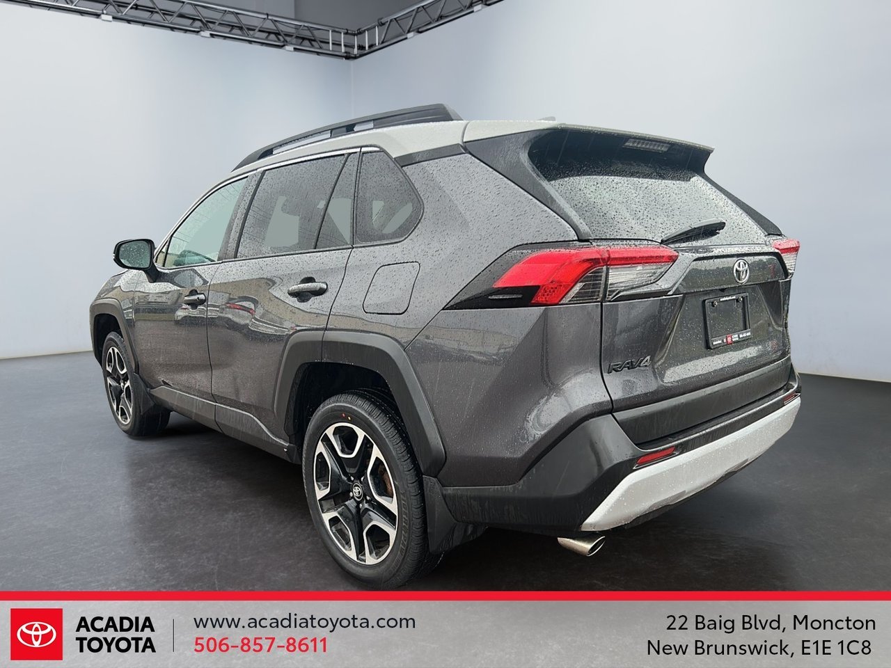 2019 Toyota RAV4 Trail-4
