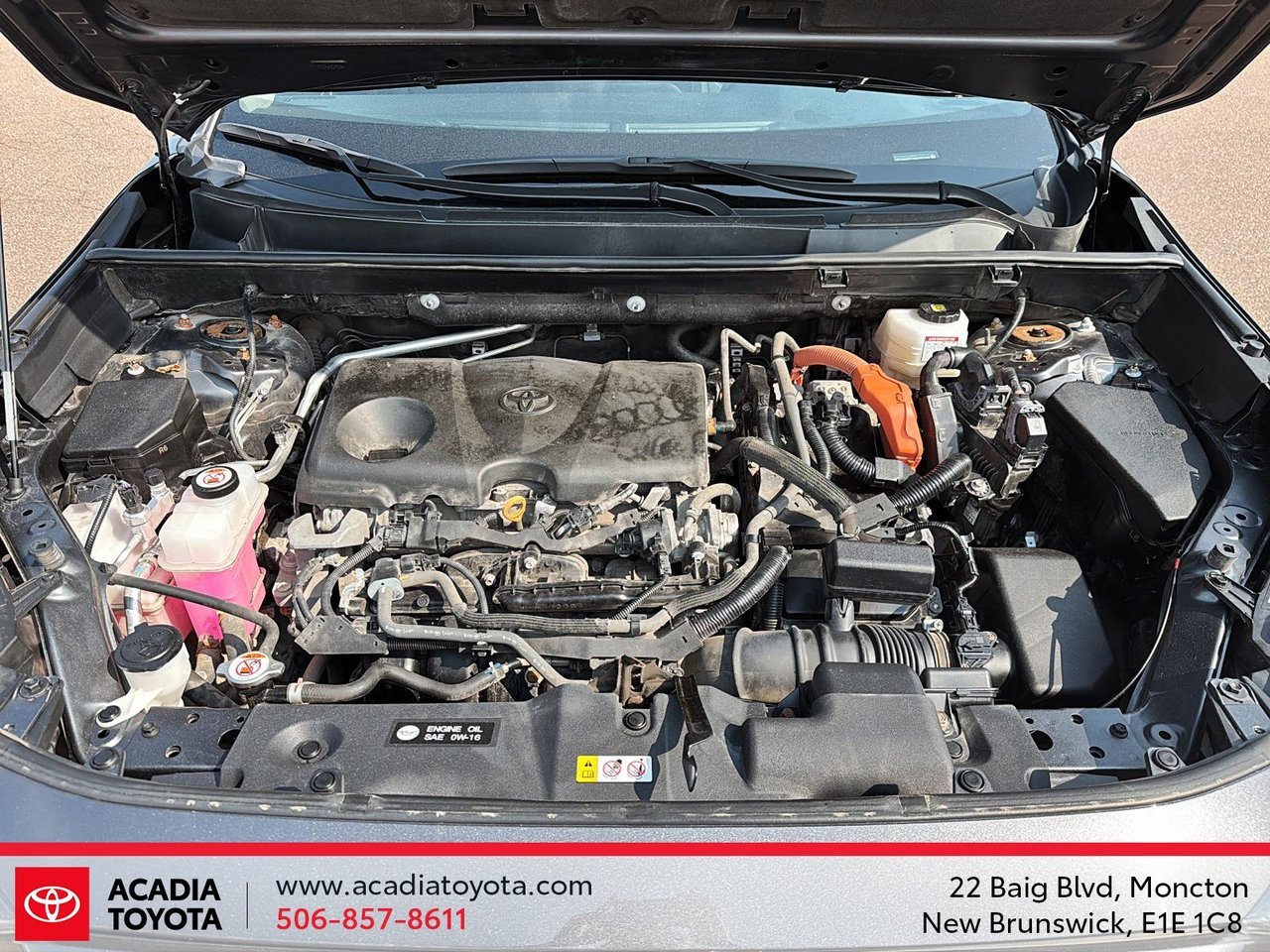 Toyota RAV4 Hybrid LE 2024-8