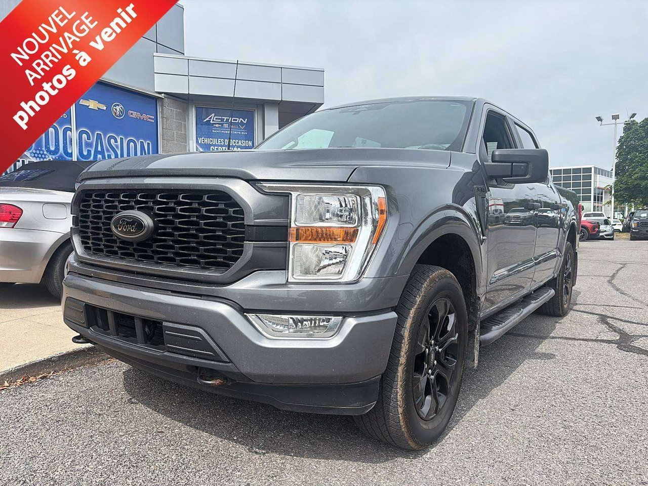 Gray (Stone Grey Metallic) 2022 Ford F-150 Pickup Truck Automatic