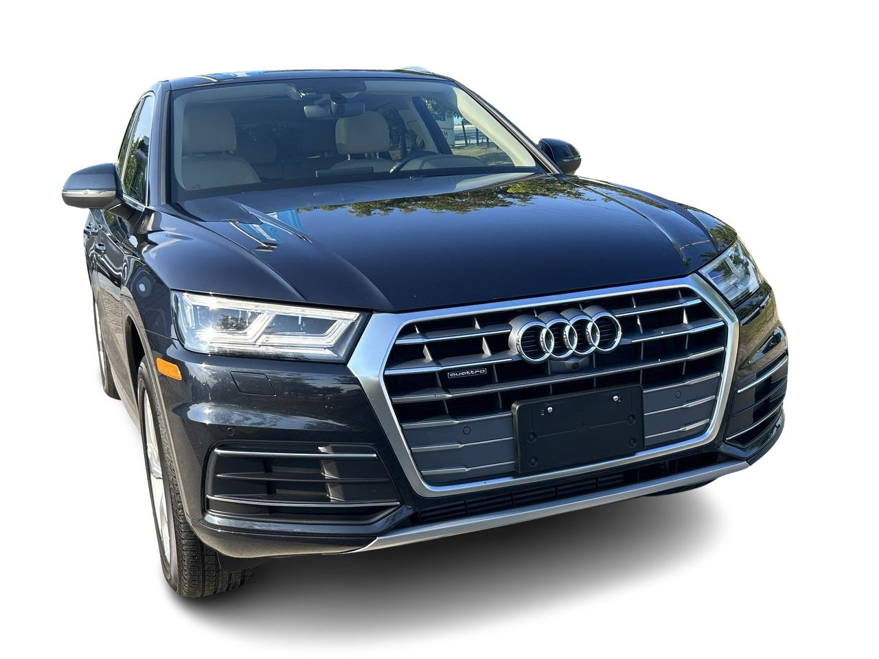 Used 2019 Navarra Blue Met Audi Progressiv image 16