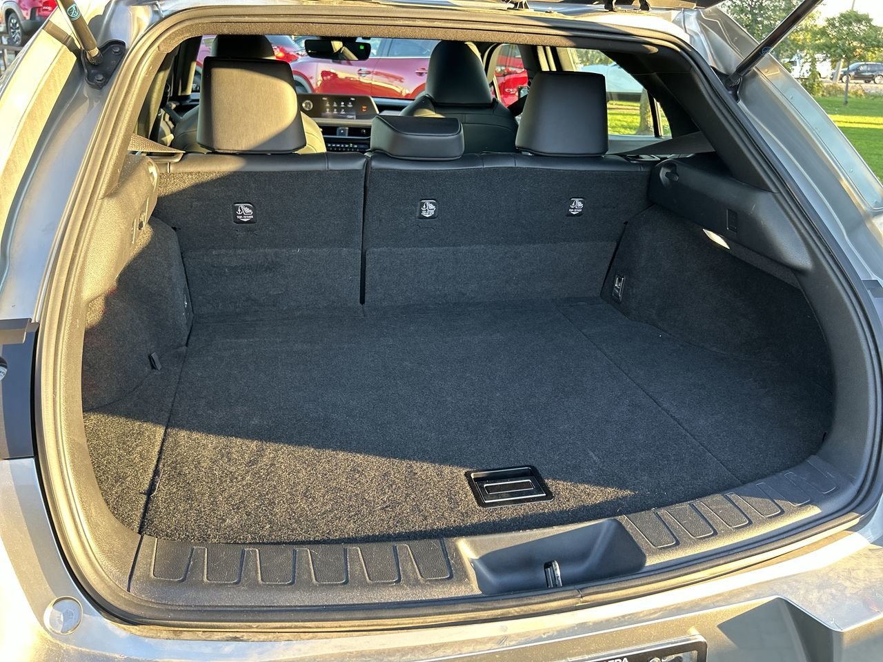 2020 Lexus UX 250h AWD, 多伦多, 全款车