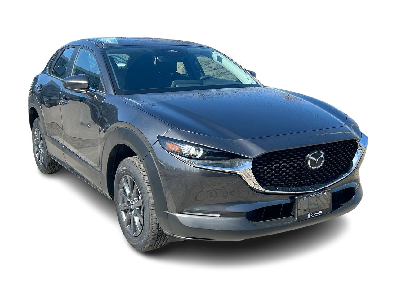 2025 Mazda CX-30 GX, Toronto, Cash