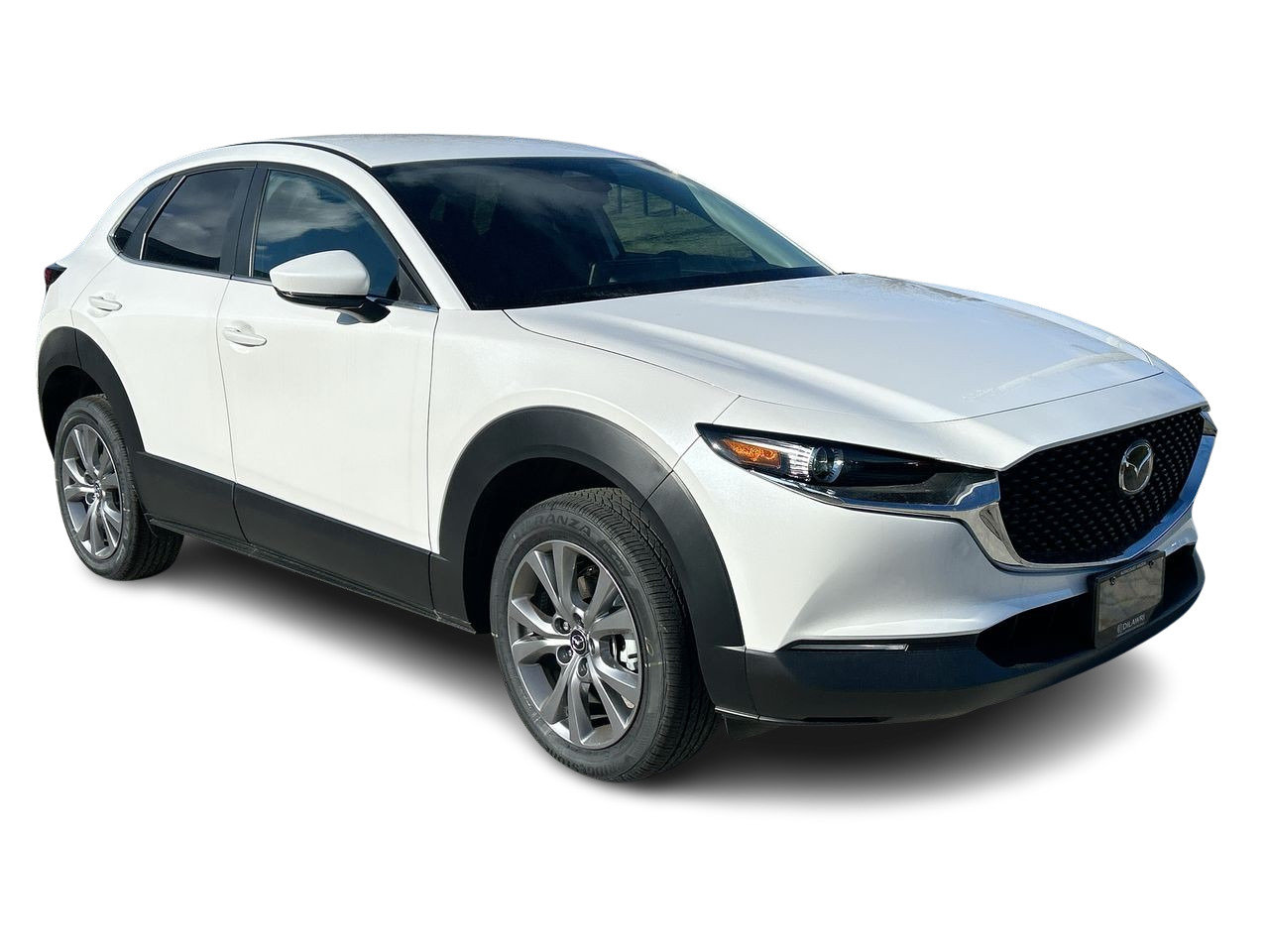 2025 Mazda CX-30 GS, Toronto, Cash